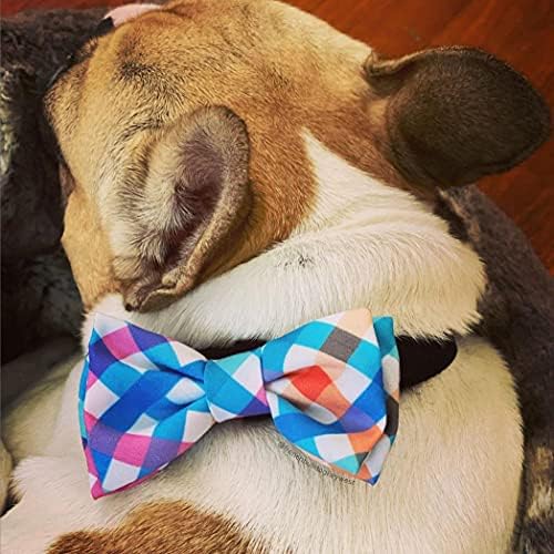 Huxley & Kent Bow kravata za kućne ljubimce | Plava/zelena provjera | Velcro pričvršćivanje kravata za kravate | Zabavne kravate za