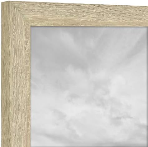 MCS Studio Gallery Frame, Natural Wood Stagriin, 16 x 20 in, okvir galerije s jednim i studijskim studijama, prirodno drveno zglobove,