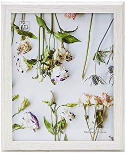 Kiera Grace Windsor Minimalistički okvir za iscrpljivanje slike, 8 x 10 inča, bijela