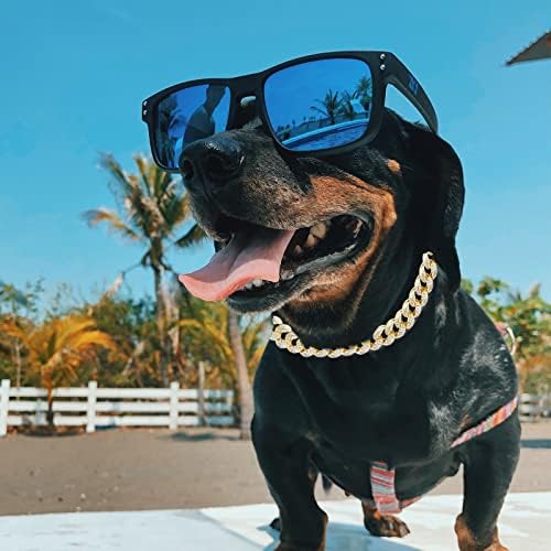 Kubanska veza s ovratnikom za pse Dijamasti zlatni lanac za pse hodanje metalnim zlatnim lancem za pse s dizajnom sigurna kopča, kućni