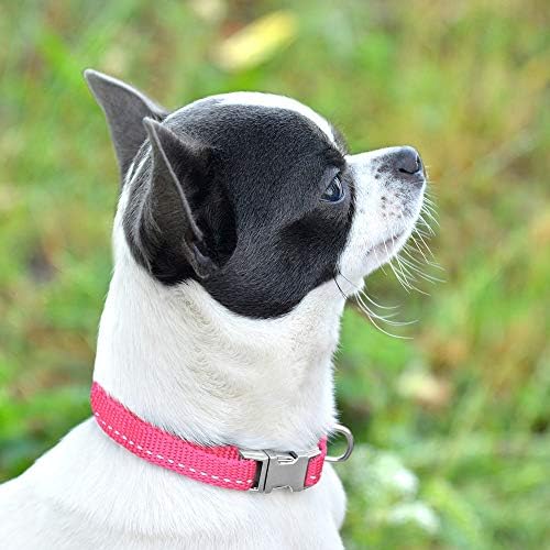 Collardirect Mali pseći ovratnik s metalnom kopča najlonom reflektirajući ovratnik za štene Podesivi crno ružičasta metvica zelena