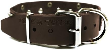 Dean i Tyler Thor, kožni ogrlica za pse s mesinganim pločama i niknim klinovima-smeđa-veličina 22 inča do 1-1/2 inča-odgovara vratu