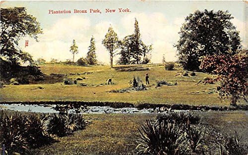 Bronx Park, njujorška razglednica