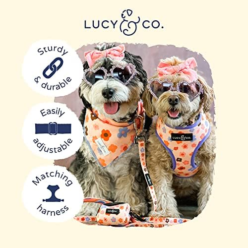Lucy & Co. Let's Groove podesivi ogrlica za pse- Slatki dizajnerski ogrlica za kućne ljubimce za male, srednje, velike pse- kopča za