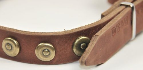 Dean & Tyler Leather Dog Collar Matrix Matix Koža iz Europe - Veličina mala 14 '' - 18 '' Veličina vrata - 1 Širina - smeđa - Kvalitetna