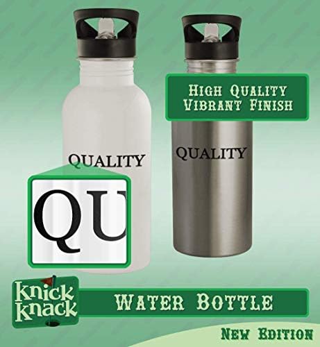 Knick Knack pokloni Sarking - boca vode od nehrđajućeg čelika od 20oz, srebrna